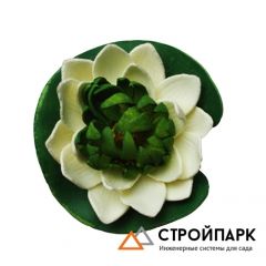Декоративное растение Водная лилия 10,5 см, кремовый
