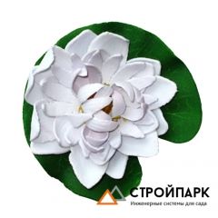 Декоративное растение Водная лилия 10,5 см, белый