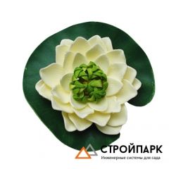 Декоративное растение Водная лилия 14,5 см, кремовый