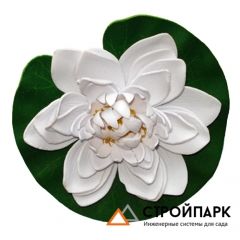 Декоративное растение Водная лилия 14,5 см, белый