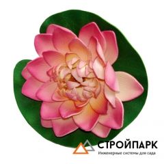 Декоративное растение Водная лилия 14,5 см, розовый