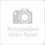 Пена монтажная зимняя профессиональная RUS MASTER WINTER MEGA -20°C 90 (900мл) 