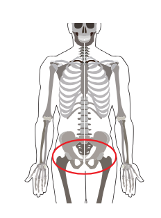 МРТ суставов (два тазобедренных сустава)
