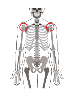 МРТ суставов (плечевой сустав с одной стороны)