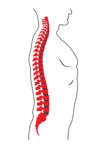 Диагностика причины боли в спине